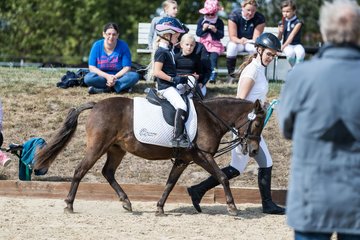 Bild 87 - Pony Akademie Turnier